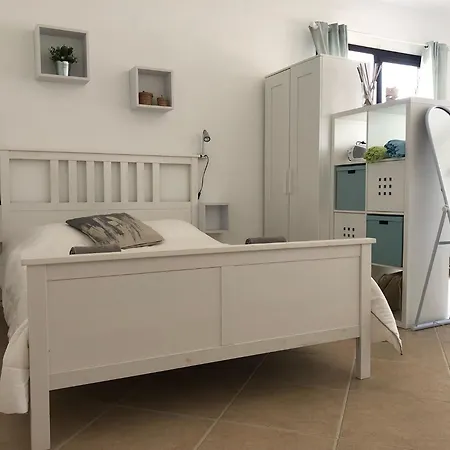 Buganvillas 77